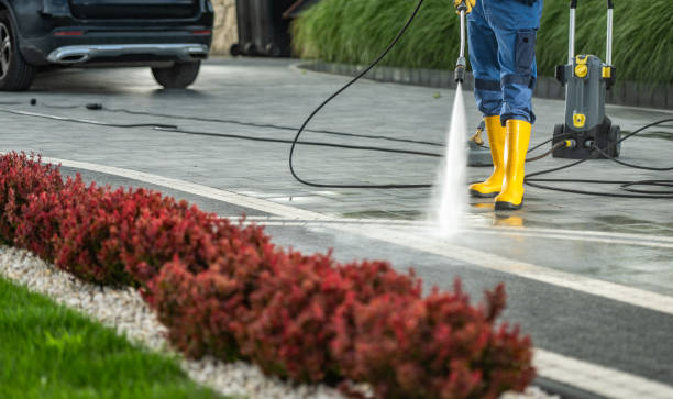 Best Pressure Washing Company Near Me  in Lake Ripley, WI