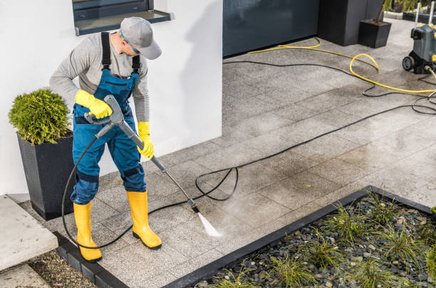Best Roof Pressure Washing  in Lake Ripley, WI