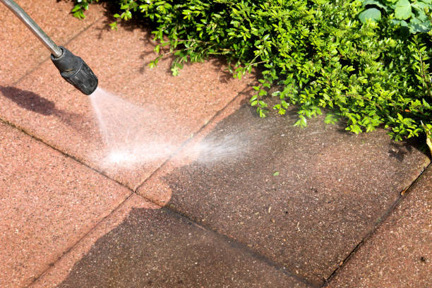 Best Affordable Pressure Washing  in Lake Ripley, WI